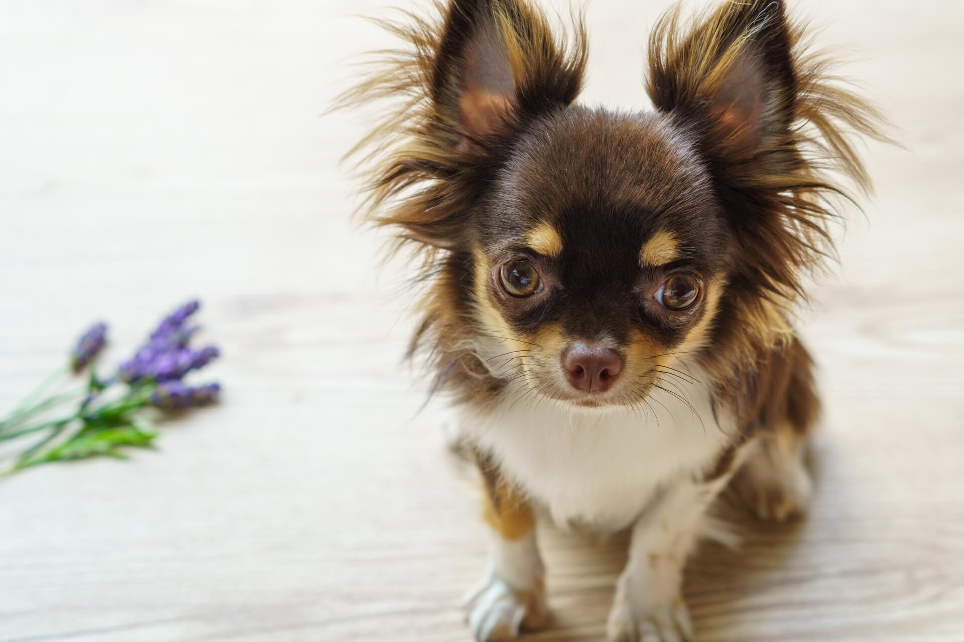 26793968_mのコピー (1)